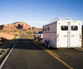 Horse Trailer on Road