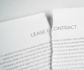 Torn Up Lease Contract