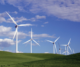 Wind Turbines in Field