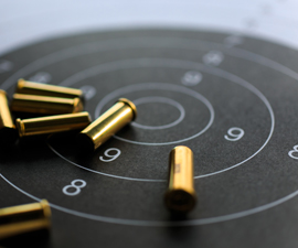 Bullet Casings on Target