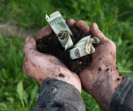 Farmer with dirt and money in hands